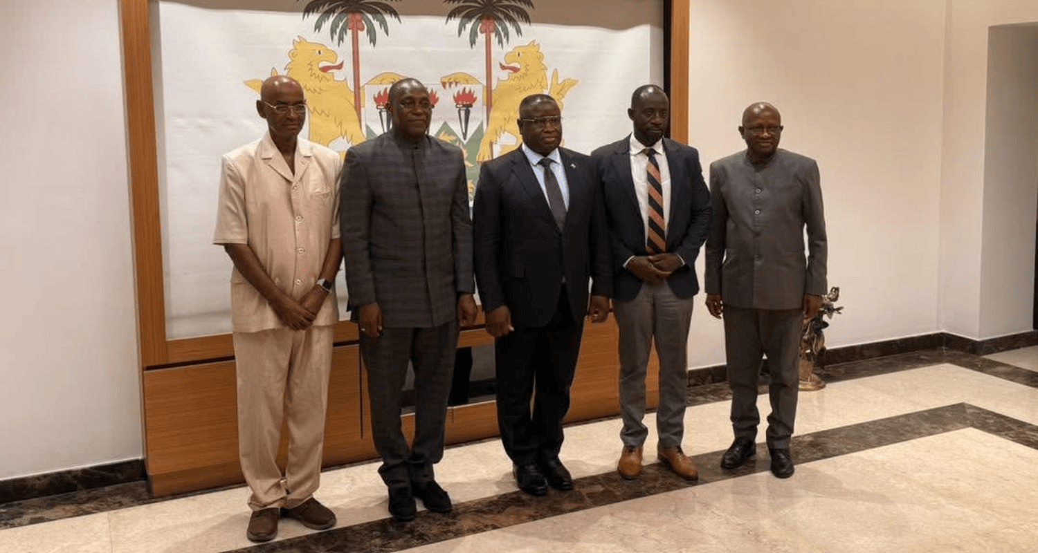 President Bio Prioritizes National Grid Expansion with Focus on Rural Electrification